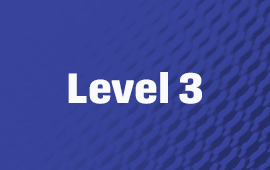 level-3